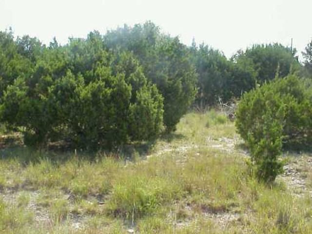 14923 Running Deer TRL