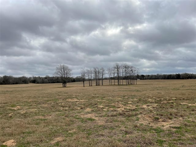 1498 Walleye Creek LN