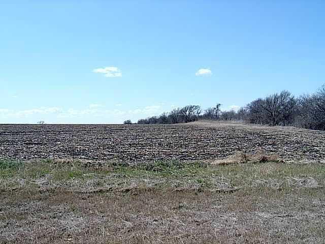 15.9 acres County Road 333