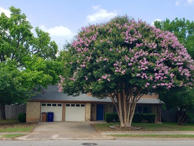 1504 Colony Creek Dr