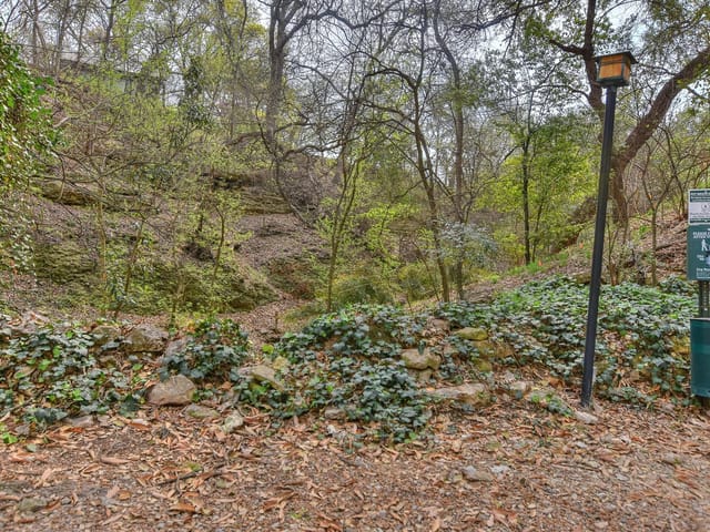 1529 Barton Springs RD Unit #16