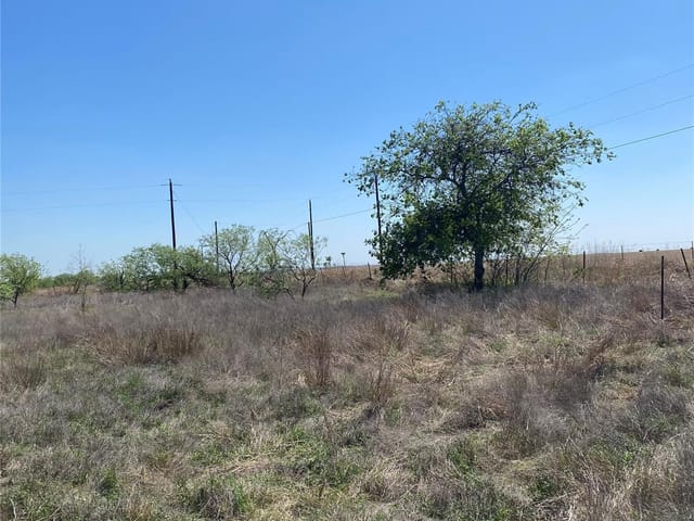 1536 County Road 3545