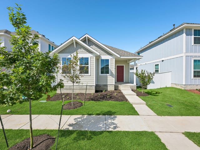 154 Daylily DR