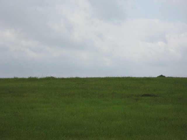 1542 1700 County Road 451