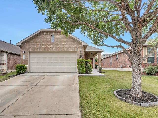 155 Dandy DR