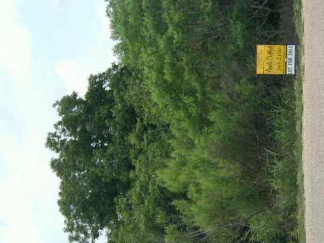 1550 Great Oaks, Salado