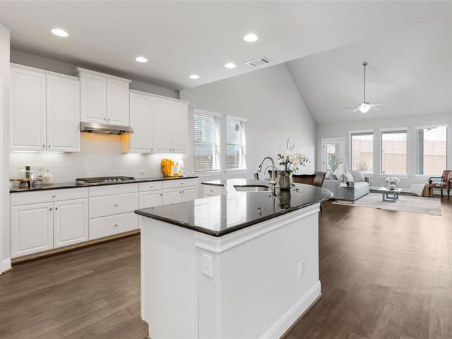 15804 Cinca Terra DR