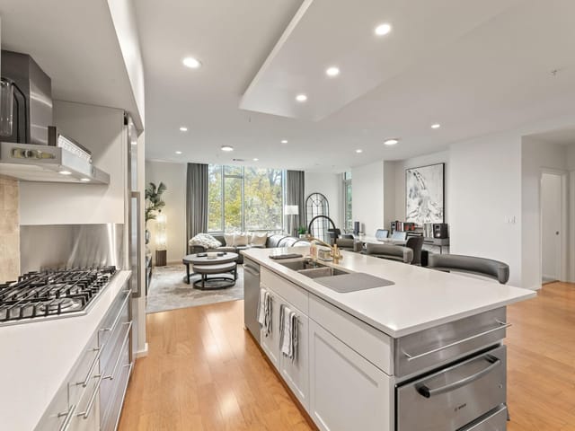 1600 Barton Springs RD Unit #4204
