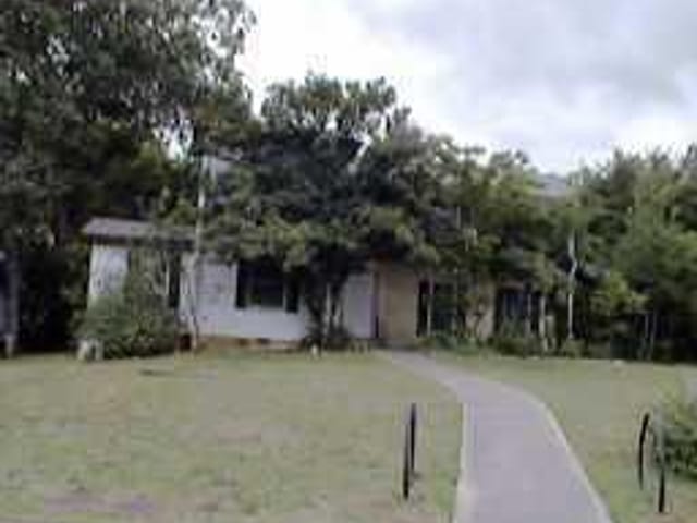 1610 FOREST TRL