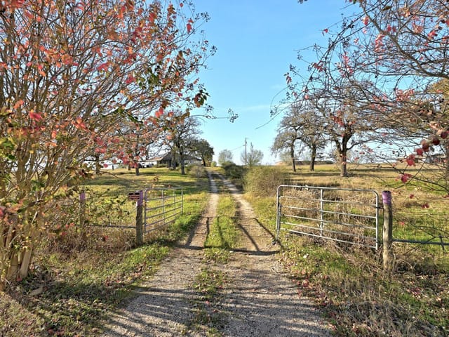162 Fm 672 Rd