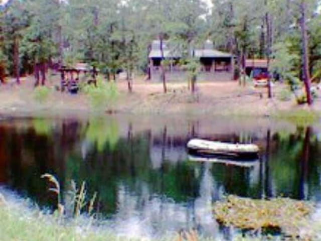 1640 CLEAR LAKE PINES DR