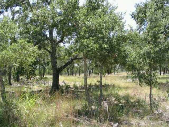 17 Pedernales Hills Ranc