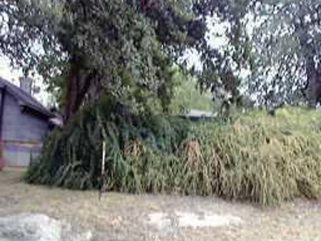 1711 ALTA VIS