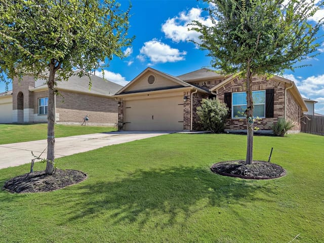 176 Dusky Thrush DR