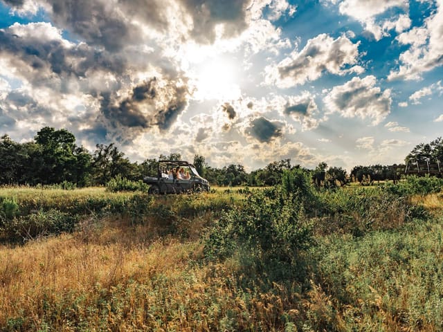 17650-A Hamilton Pool RD
