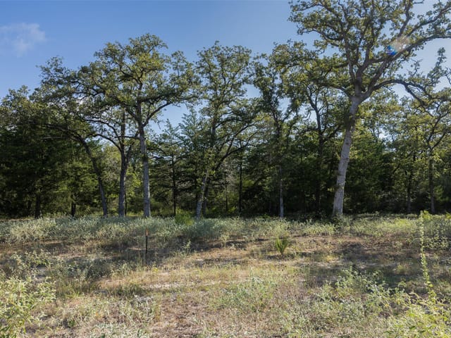 180 Autumn Oak CT