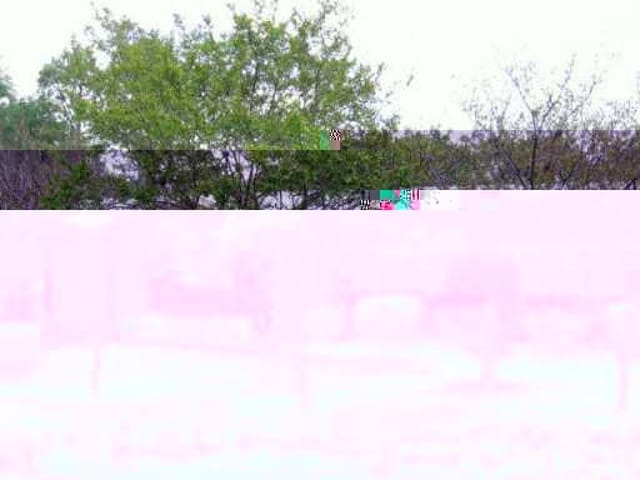 1804 Romford Dr