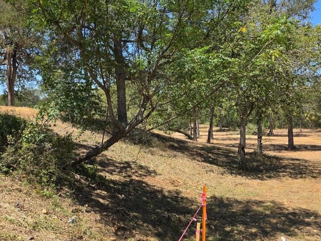 183 Wilbarger CV