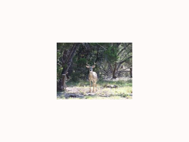 184 Vista Sierra LN
