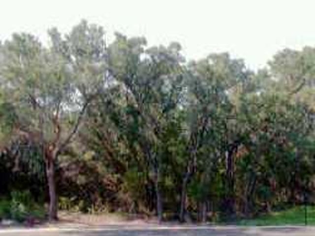 18603 Buckhorn CIR