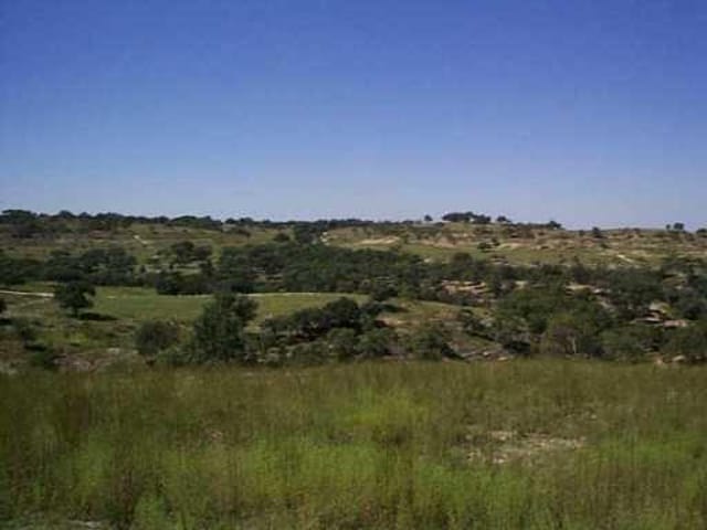 18608 Madrone VIS