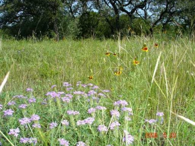 18800 Rancho Cielo Ct LOT 1