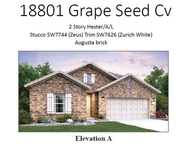 18801 Grape Seed CV