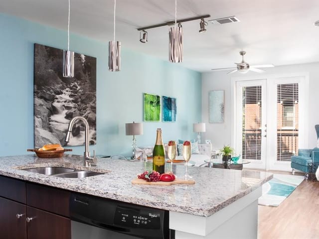 1900 Barton Springs RD Unit #3039