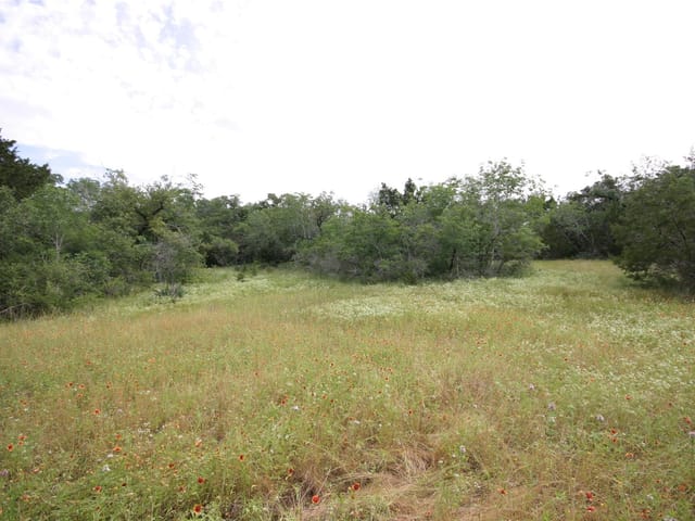 1900 County Road 156