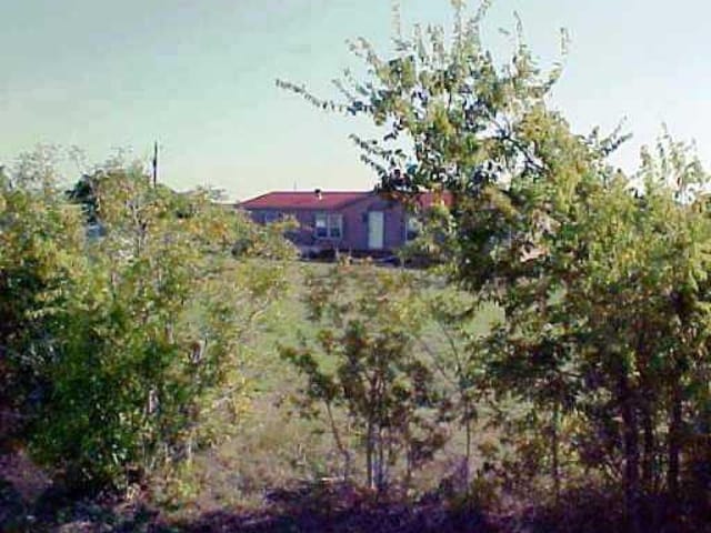 1903 COUNTY ROAD 213