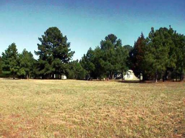 191 TIGER WOODS DR