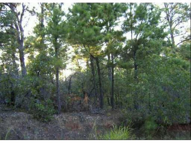 193 Colovista PKWY