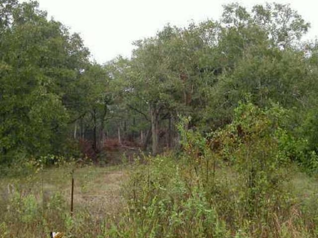 195 Ott RD