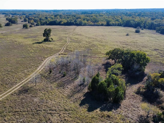 196 Brinkley Ln