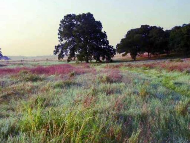 198 BRUSHY CREEK TRL