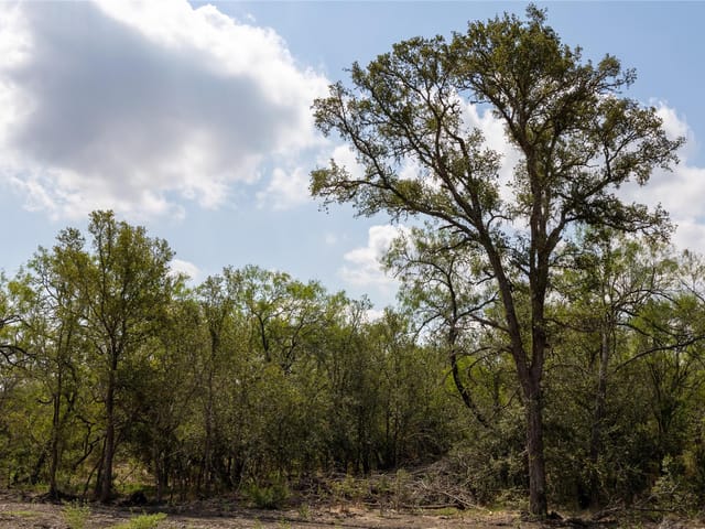 199 Brinley Mae Way