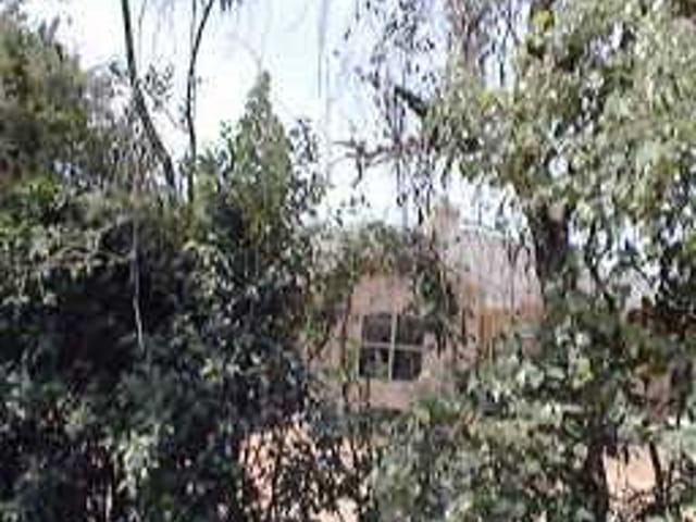 2000 LIPANES TRL