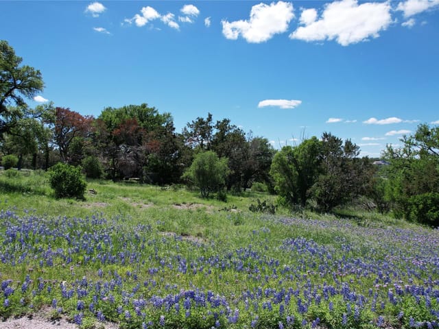 2006 Brazos