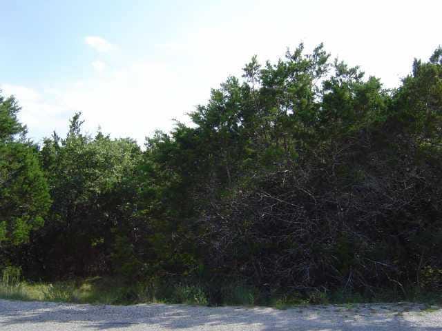 20217 TRAVIS DR