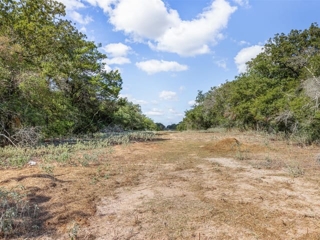 2025 Mule Creek RD