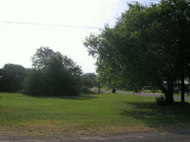 205 LIVE OAK
