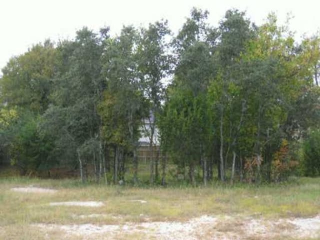 2051 Golden Bear DR
