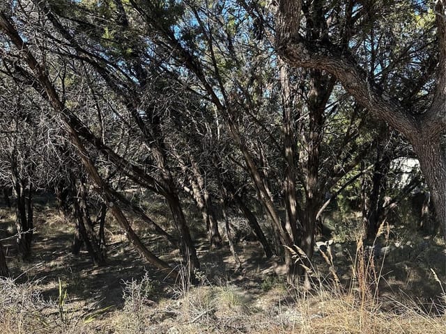 20700 Branding Iron