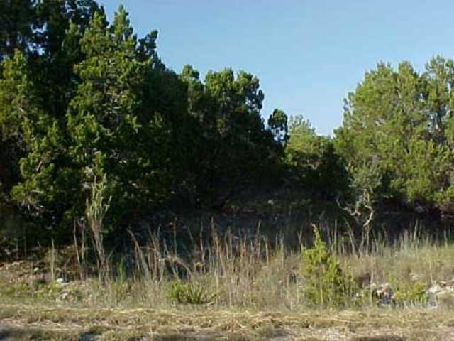 20702 Hawthorne CV