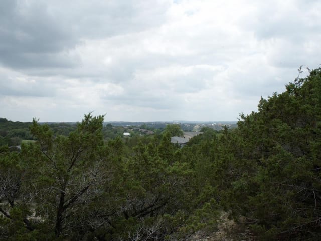 20709 Hayes Cv
