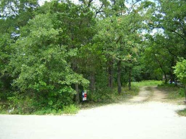 20712 Liveoak