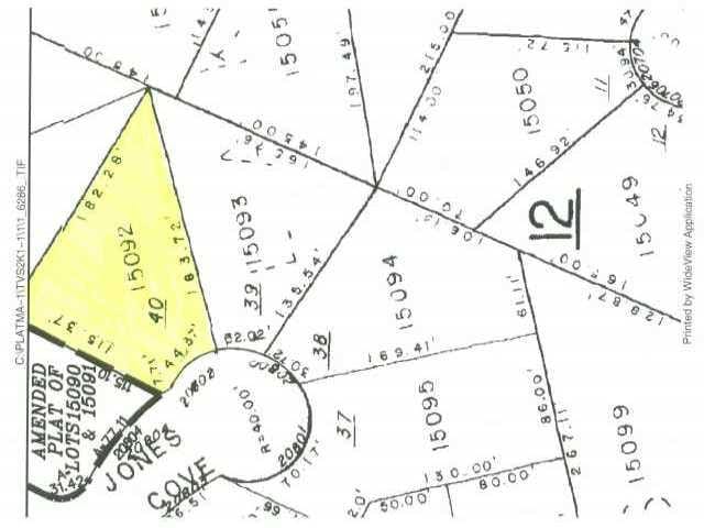 20802 Jones CV