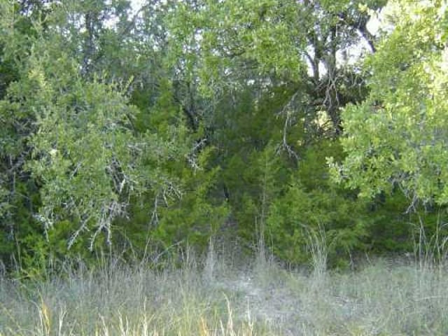 20803 Rawhide TRL