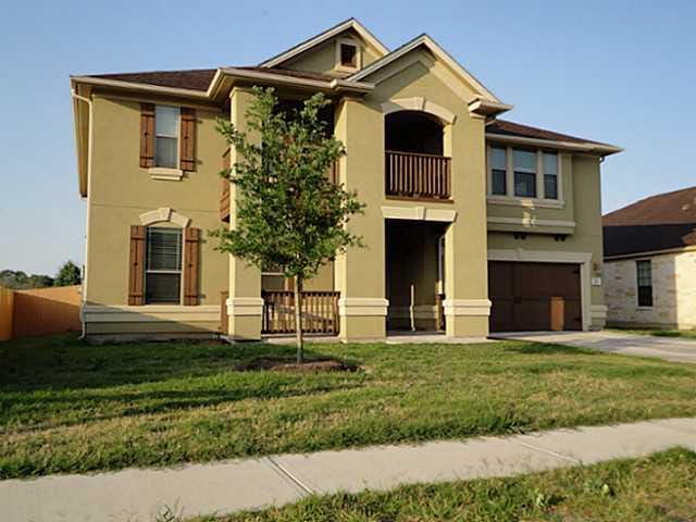 209 Camperdown Elm