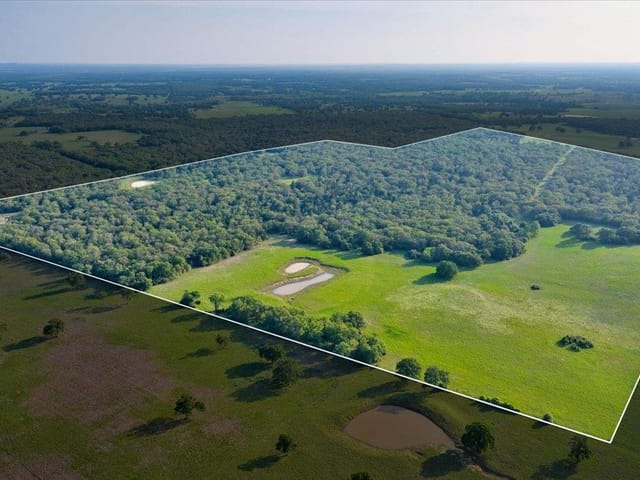 2095 County Road 442